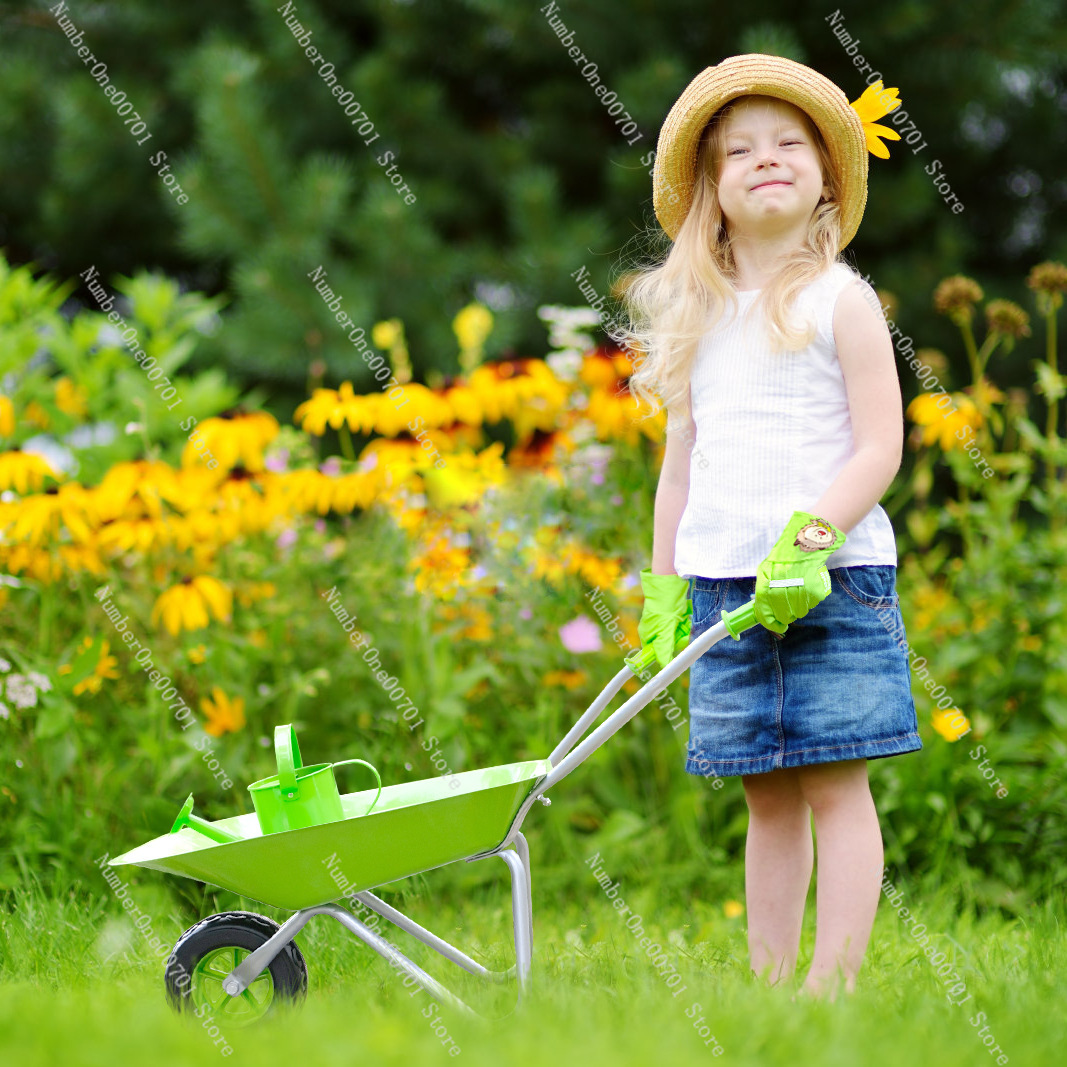 Kids Outdoor Wheelbarrow, Gree - Kids Outdoor Garden Toys 评论和价格