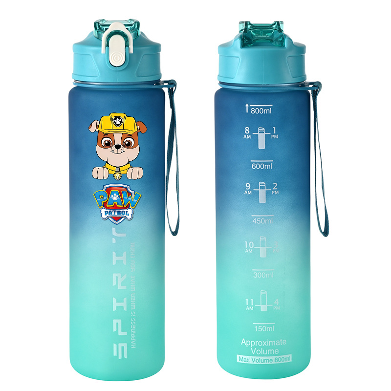 800ml PAW Patrol Sports Water  - Kids Outdoor Kitchen Accessories 评论和价格