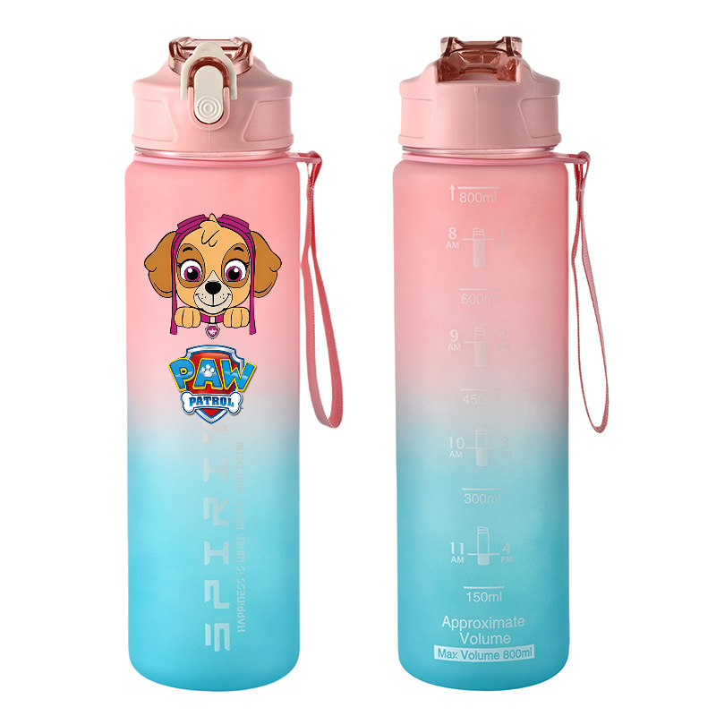 800ml PAW Patrol Sports Water  - Kids Outdoor Kitchen Accessories 评论和价格