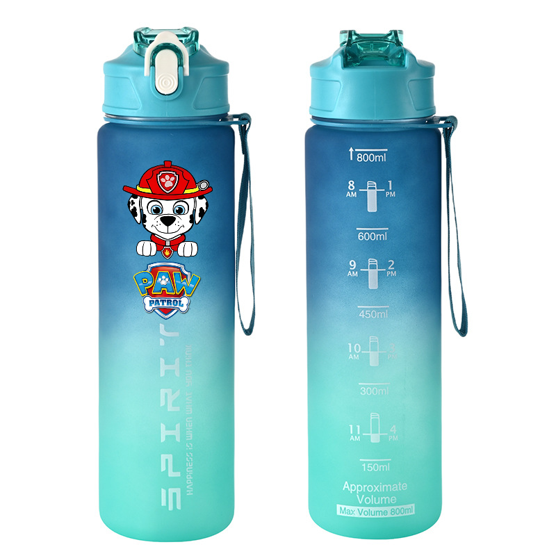 800ml PAW Patrol Sports Water  - Kids Outdoor Kitchen Accessories 评论和价格