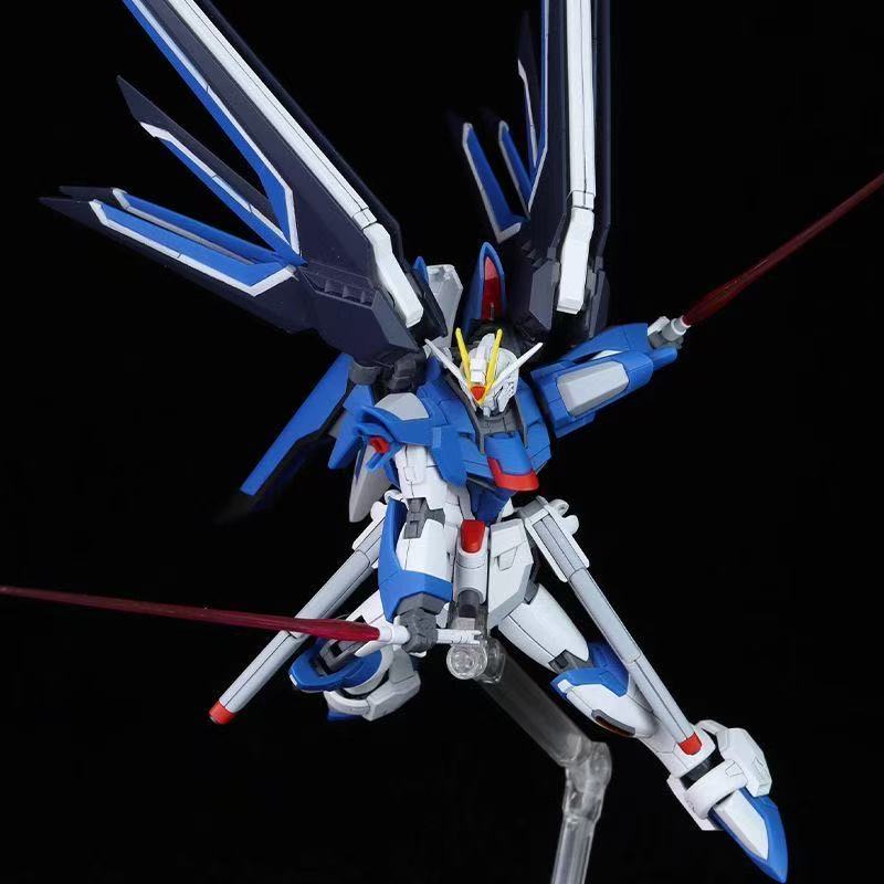 HG STTS-909 Rising Freedom Gun - Bandai Model Gundam Hg 评论和价格